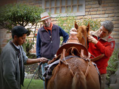 horseback